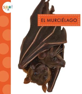 El Murci