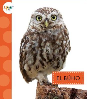 El B£ho / Owls