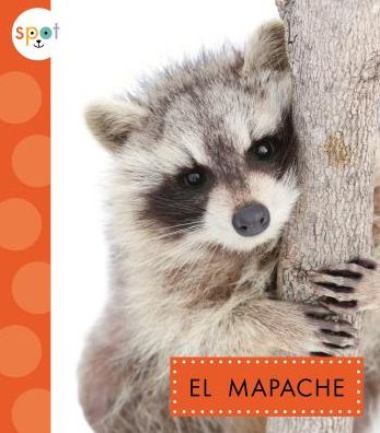 El Mapache / Raccoons