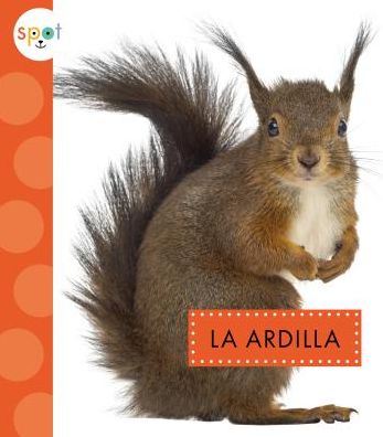 La Ardilla / Squirrels