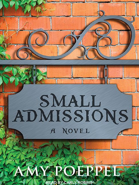 Small Admissions: A Novel