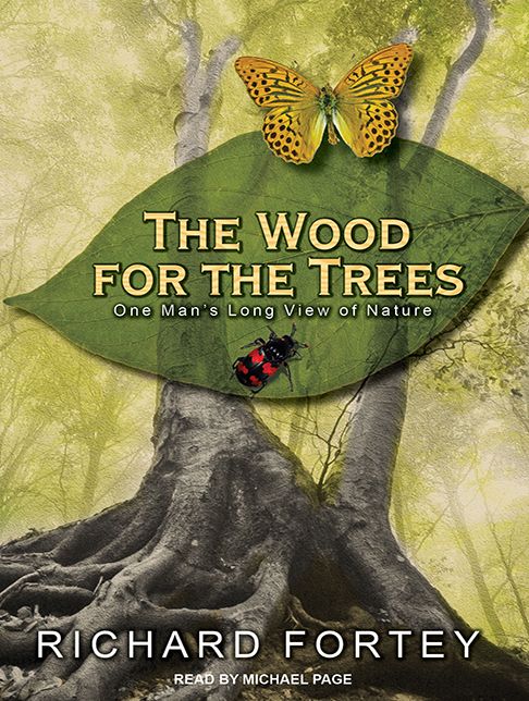 The Wood for the Trees: One Man's Long View of Nature