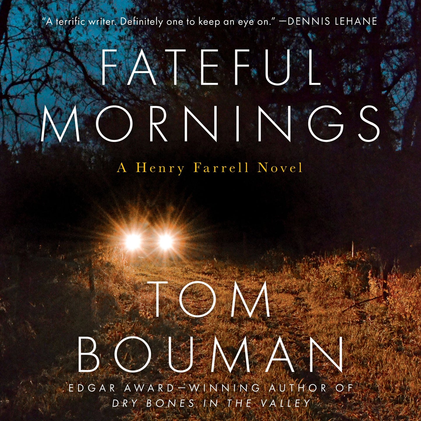 Fateful Mornings: A Henry Farrell Novel