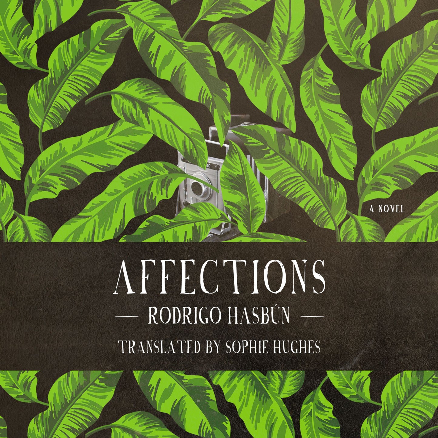 Affections: A Novel