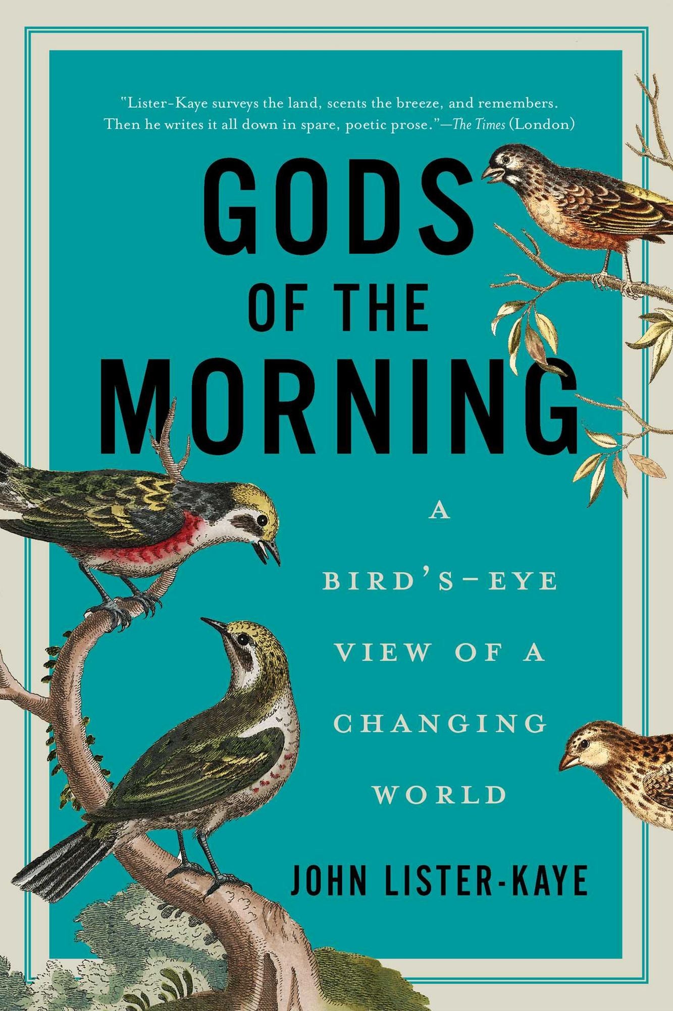 Gods of the Morning: A Bird's-Eye View of a Changing World