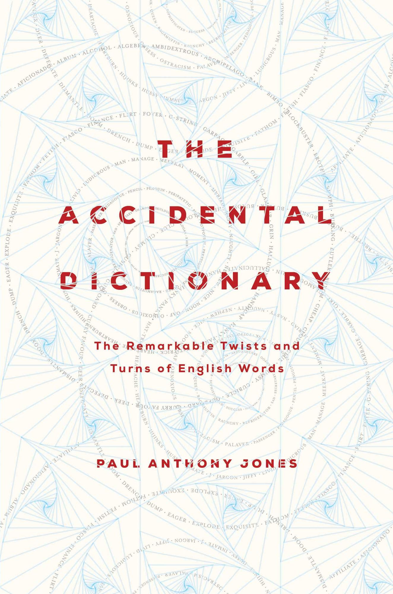 The Accidental Dictionary: The Remarkable Twists and Turns of English Words