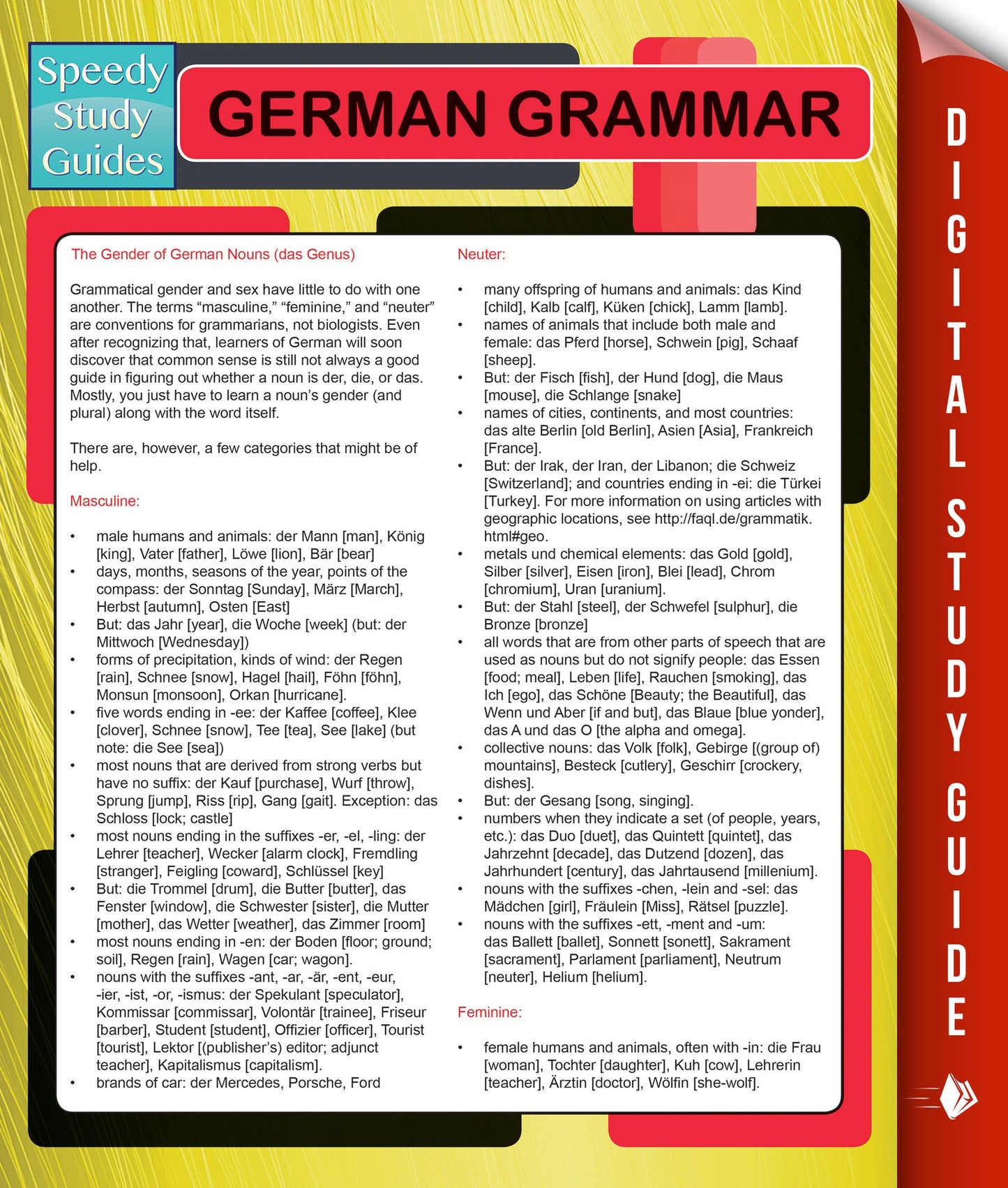 German Grammar (Speedy Language Study Guides)