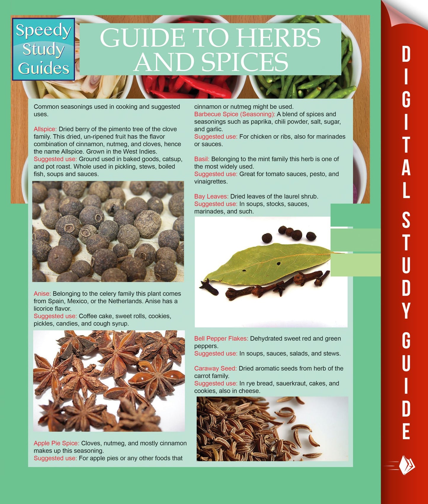 Guide To Herbs And Spices (Speedy Study Guides)