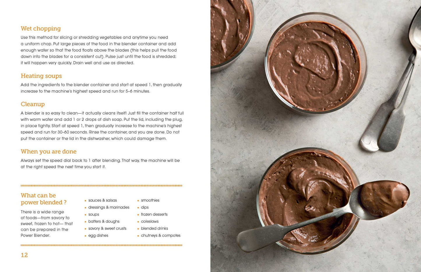 The Perfect Blending Cookbook