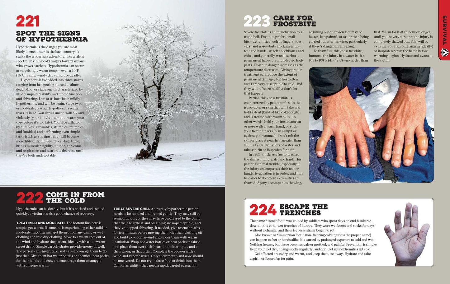 The Ultimate Backcountry Survival Manual
