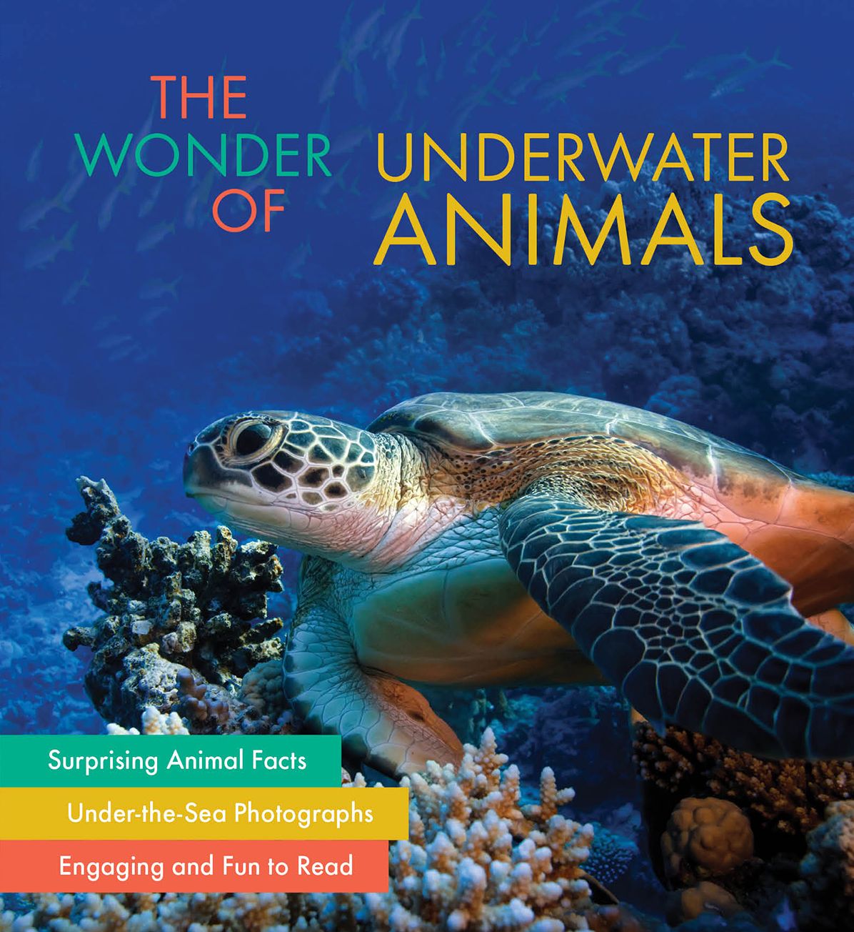 The Wonder of Underwater Animals