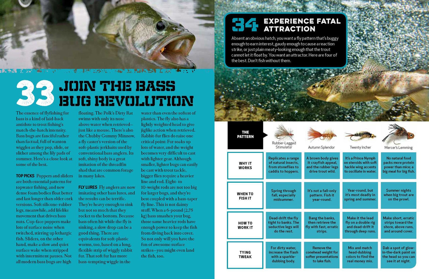 Fishing Handbook: 179 Essential Hints