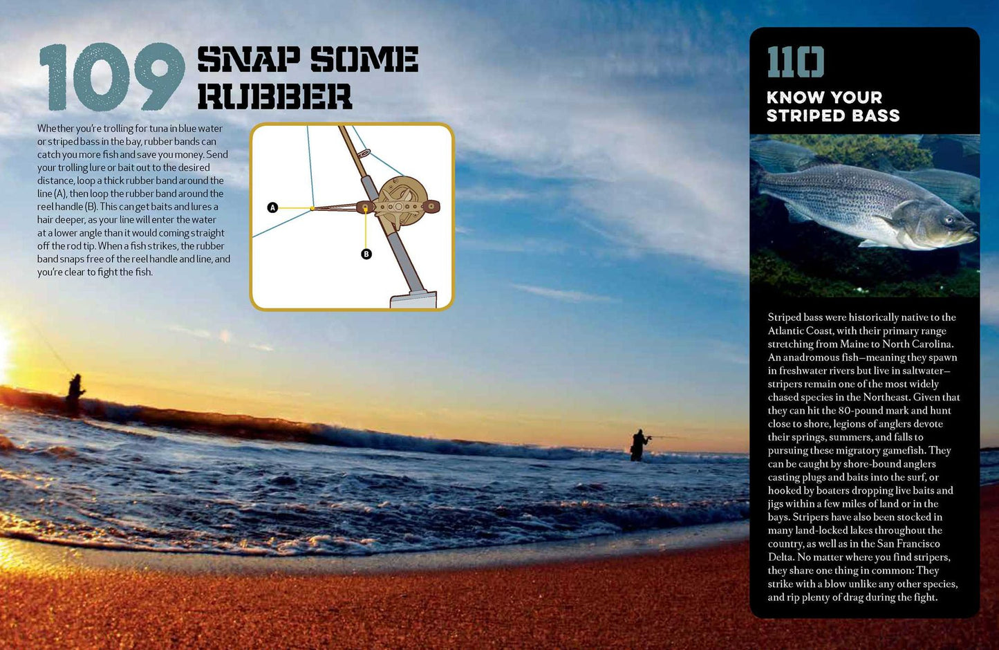 Fishing Handbook: 179 Essential Hints