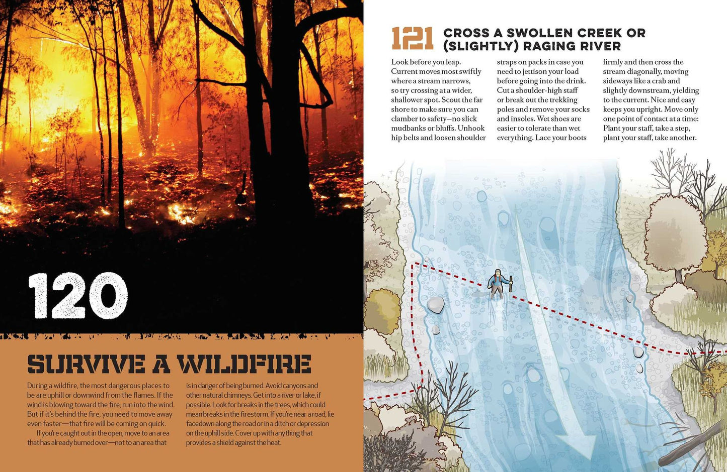 The Ultimate Wilderness Survival Handbook: 156 Tips for Any Environment