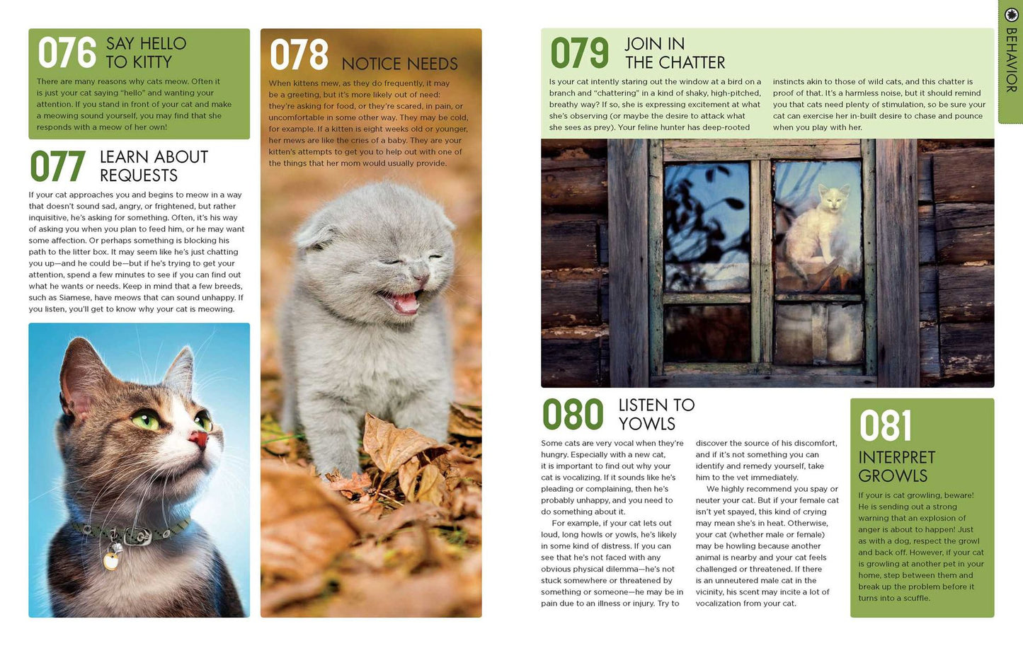 The Total Cat Manual: Meet, Love, and Care for Your New Best Friend