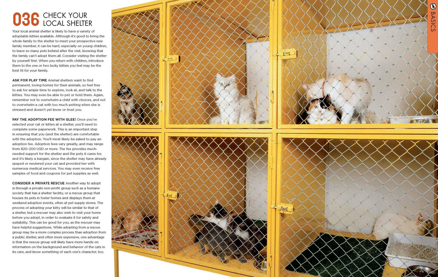 The Total Cat Manual: Meet, Love, and Care for Your New Best Friend
