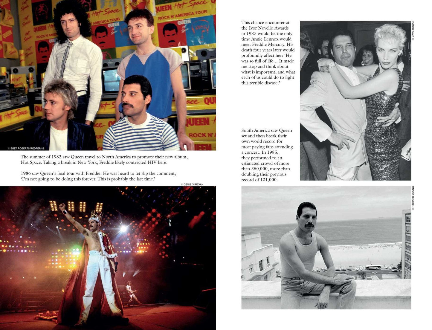 Somebody to Love: The Life, Death and Legacy of Freddie Mercury
