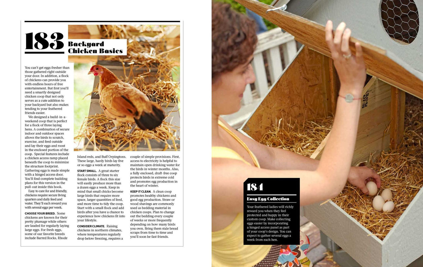 Modern Homesteading