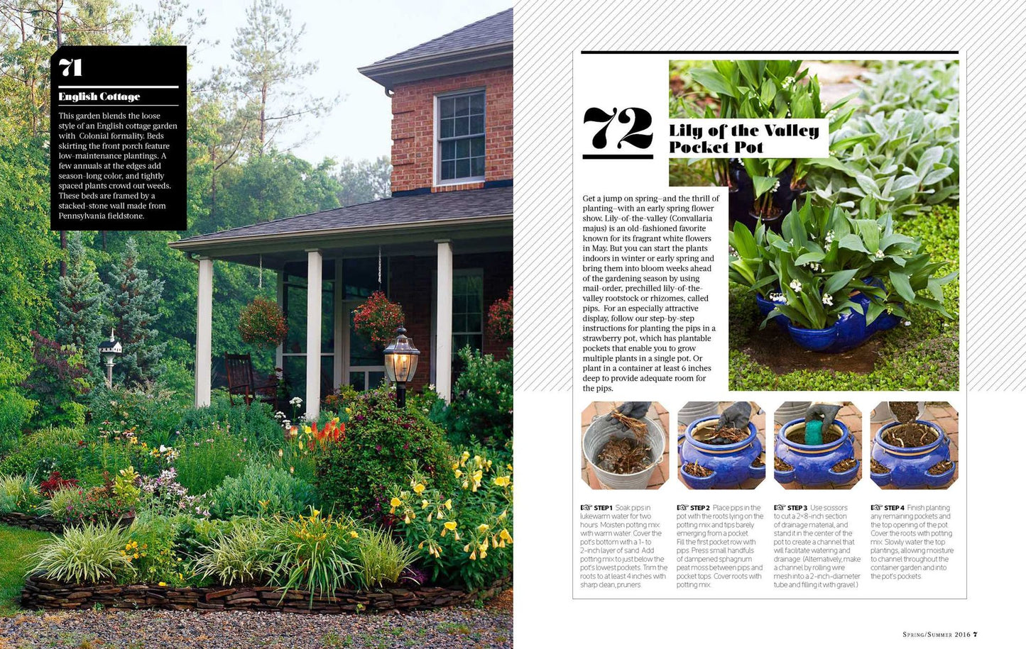 Modern Homesteading