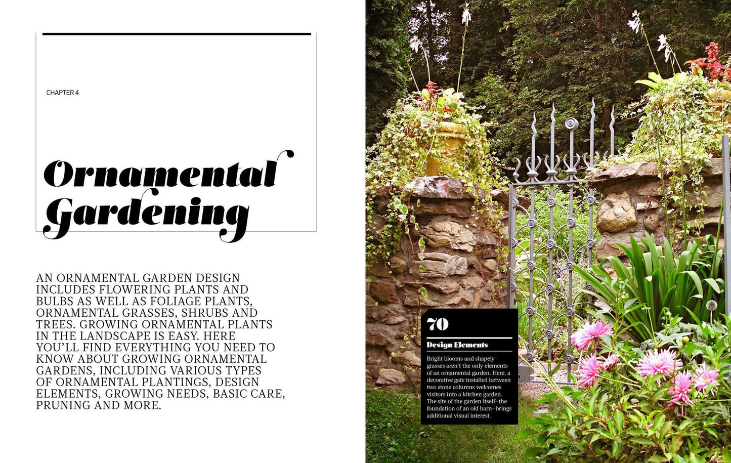 Modern Homesteading
