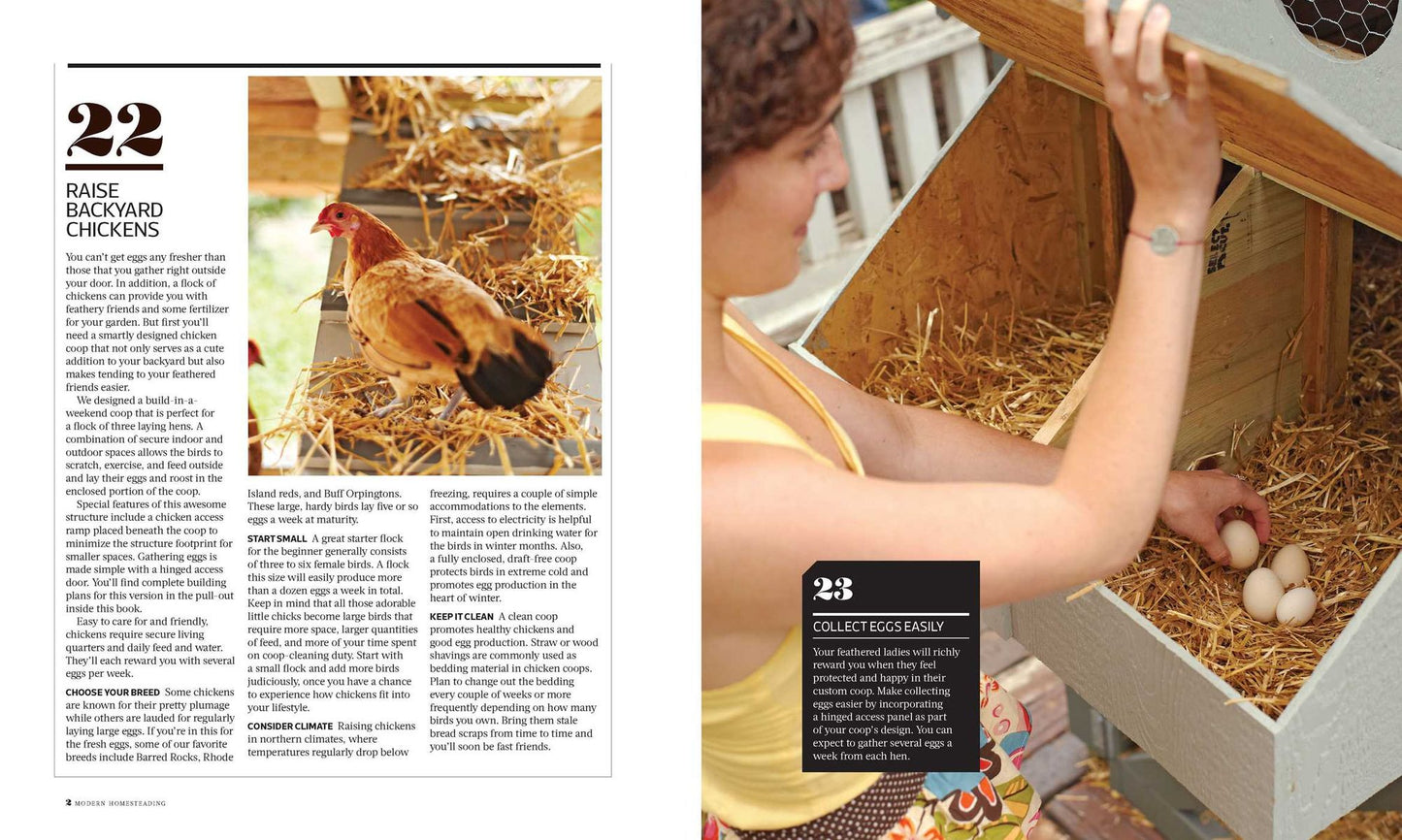 Modern Homesteading