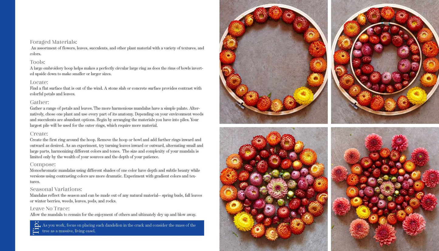Foraged Art: The Joy of Creating with Blooms, Leaves, Stones and other Natural Elements
