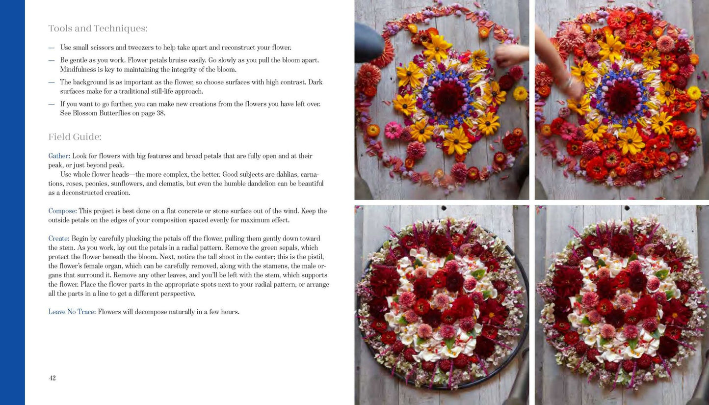 Foraged Art: The Joy of Creating with Blooms, Leaves, Stones and other Natural Elements