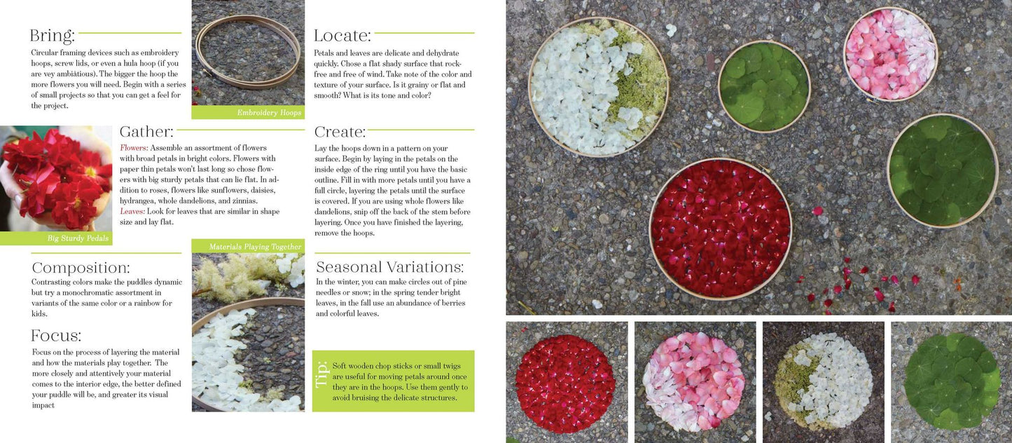 Foraged Art: The Joy of Creating with Blooms, Leaves, Stones and other Natural Elements