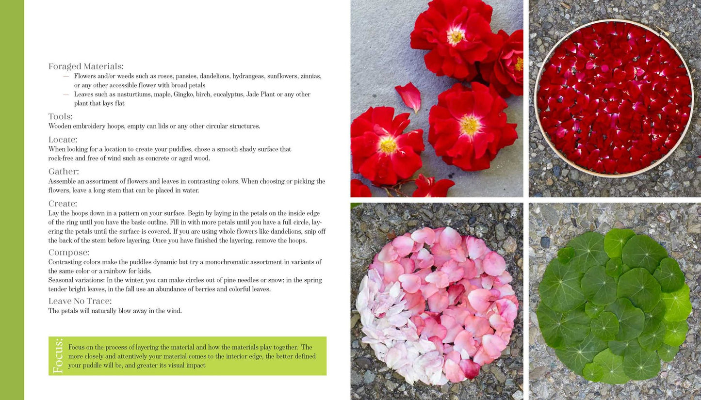 Foraged Art: The Joy of Creating with Blooms, Leaves, Stones and other Natural Elements