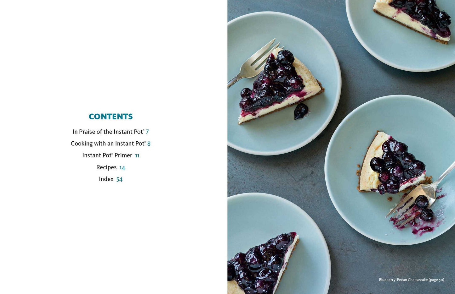 The Instant Pot Cookbook