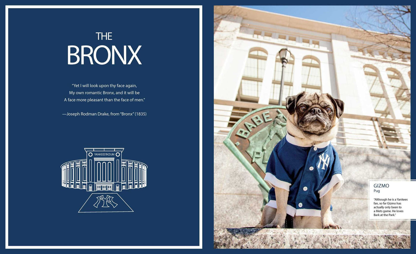 Canines of New York
