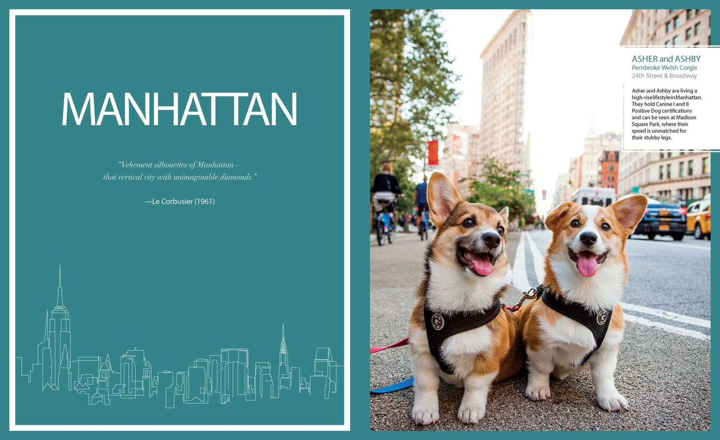 Canines of New York
