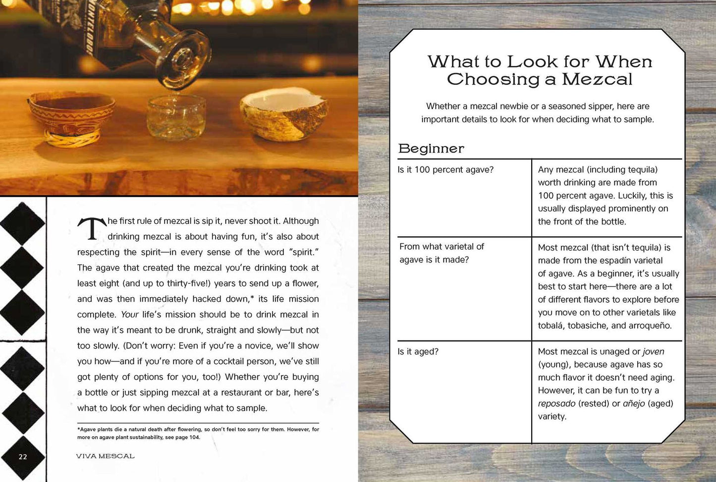Viva Mezcal: Mixing, Sipping, and Other Adventures with Mexico's Original Handcrafted Spirit