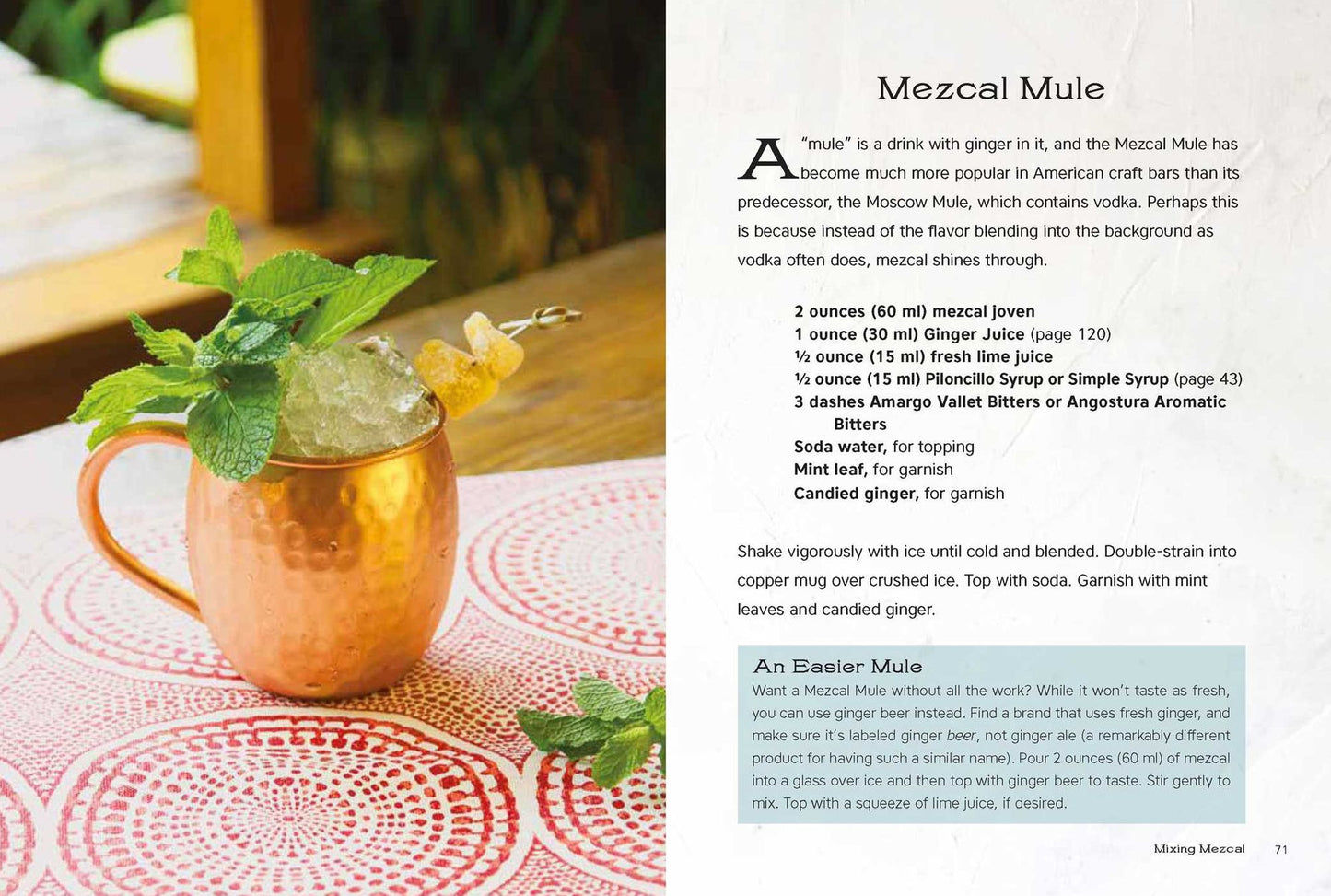 Viva Mezcal: Mixing, Sipping, and Other Adventures with Mexico's Original Handcrafted Spirit