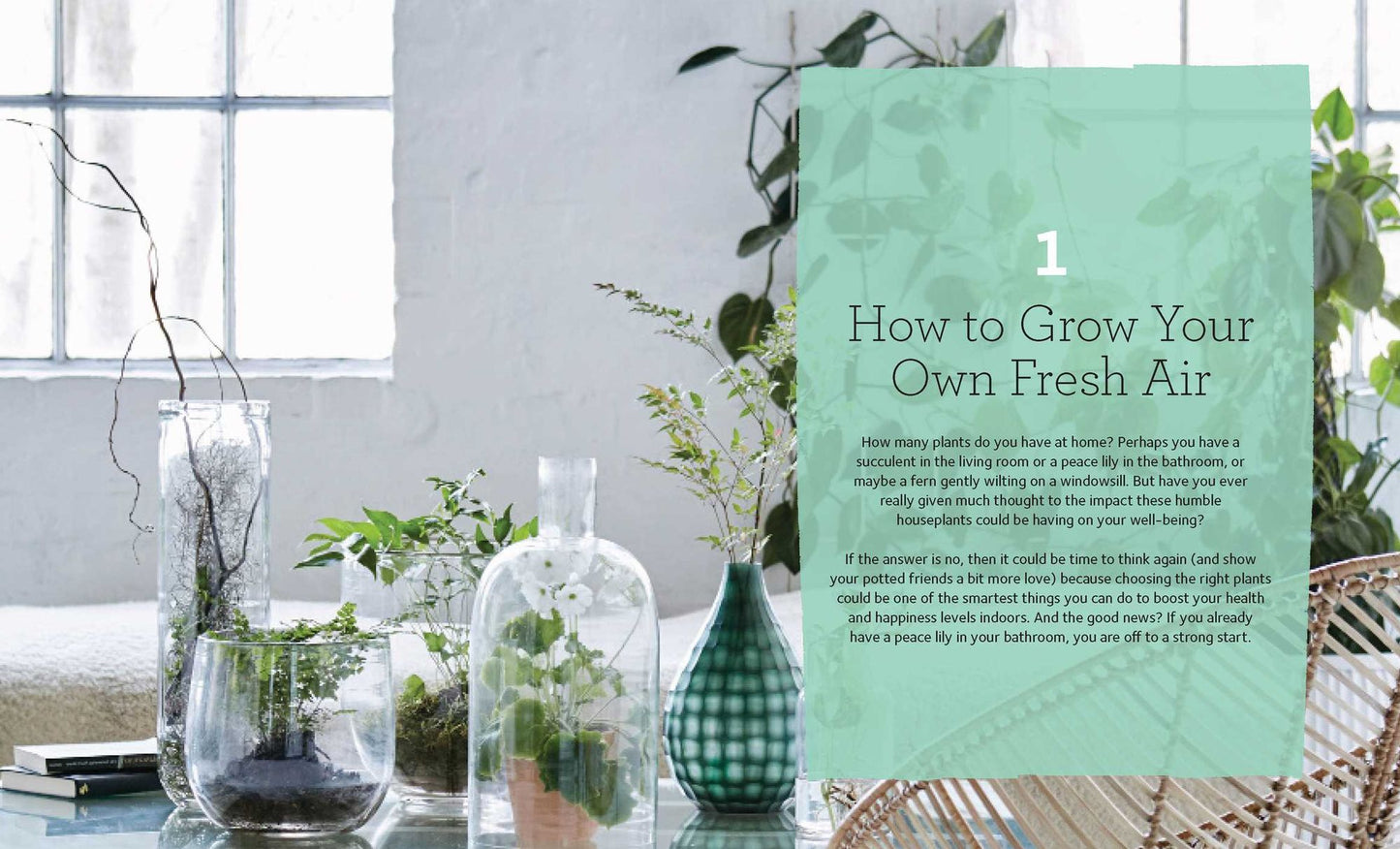 Happy by Design: How to Create a Home That Boosts Your Health and Happiness