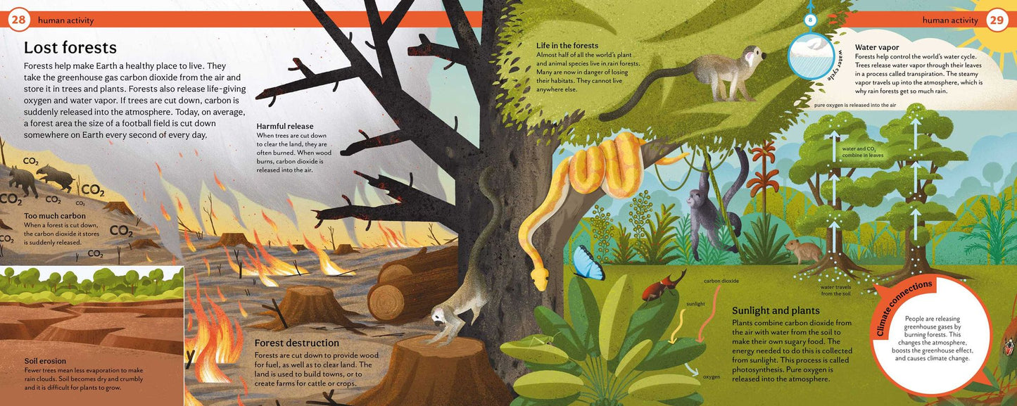 How do we stop climate change?: Mind Mappers: Making Difficult Subjects Easy to Understand