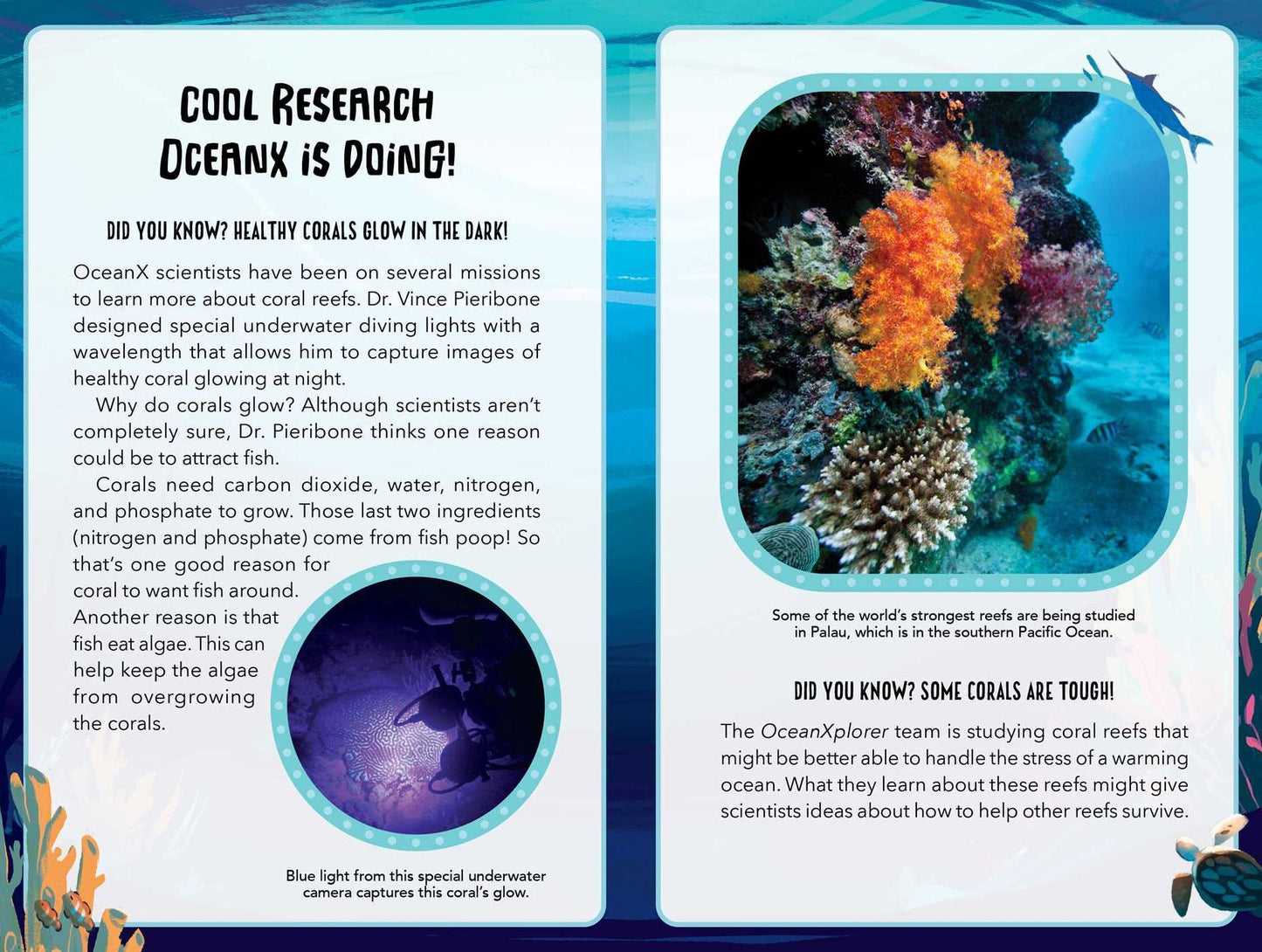 Mystery at the Aquarium