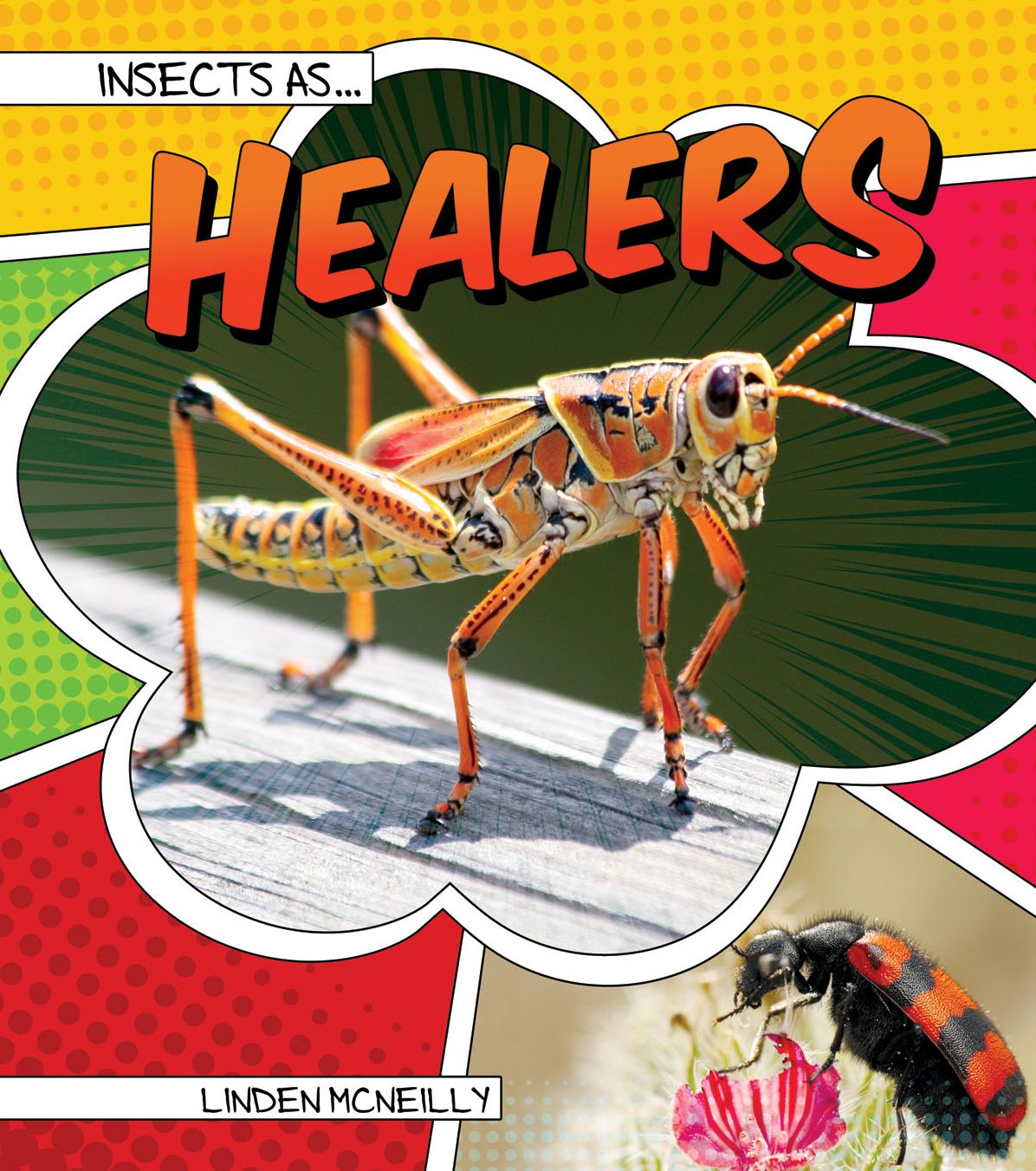 Insects As Healers