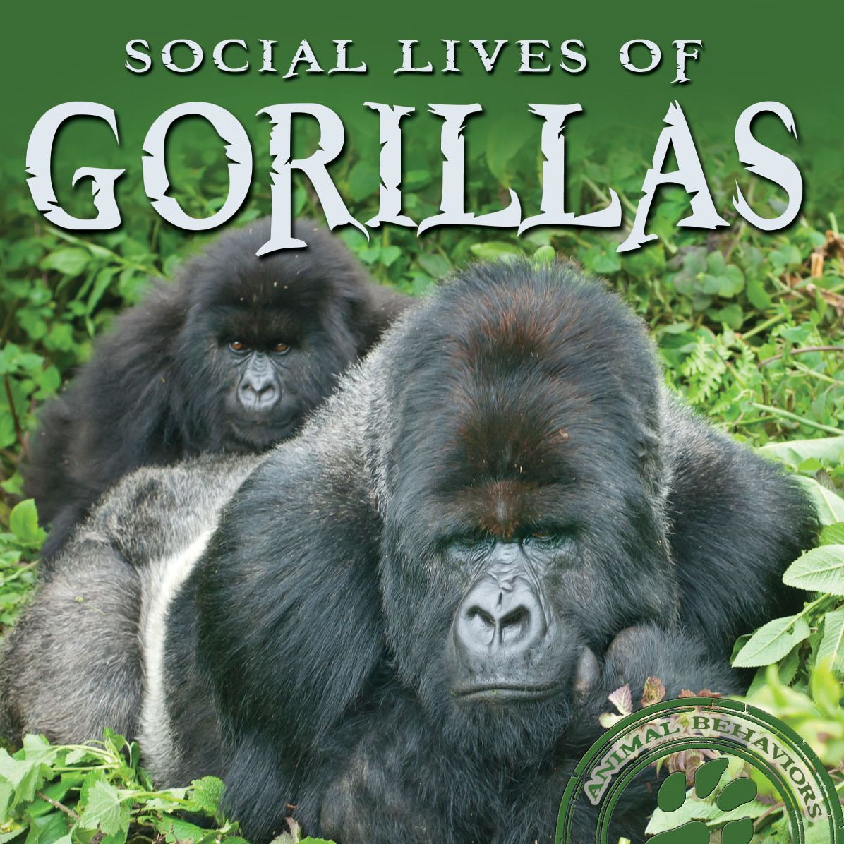 Social Lives of Gorillas