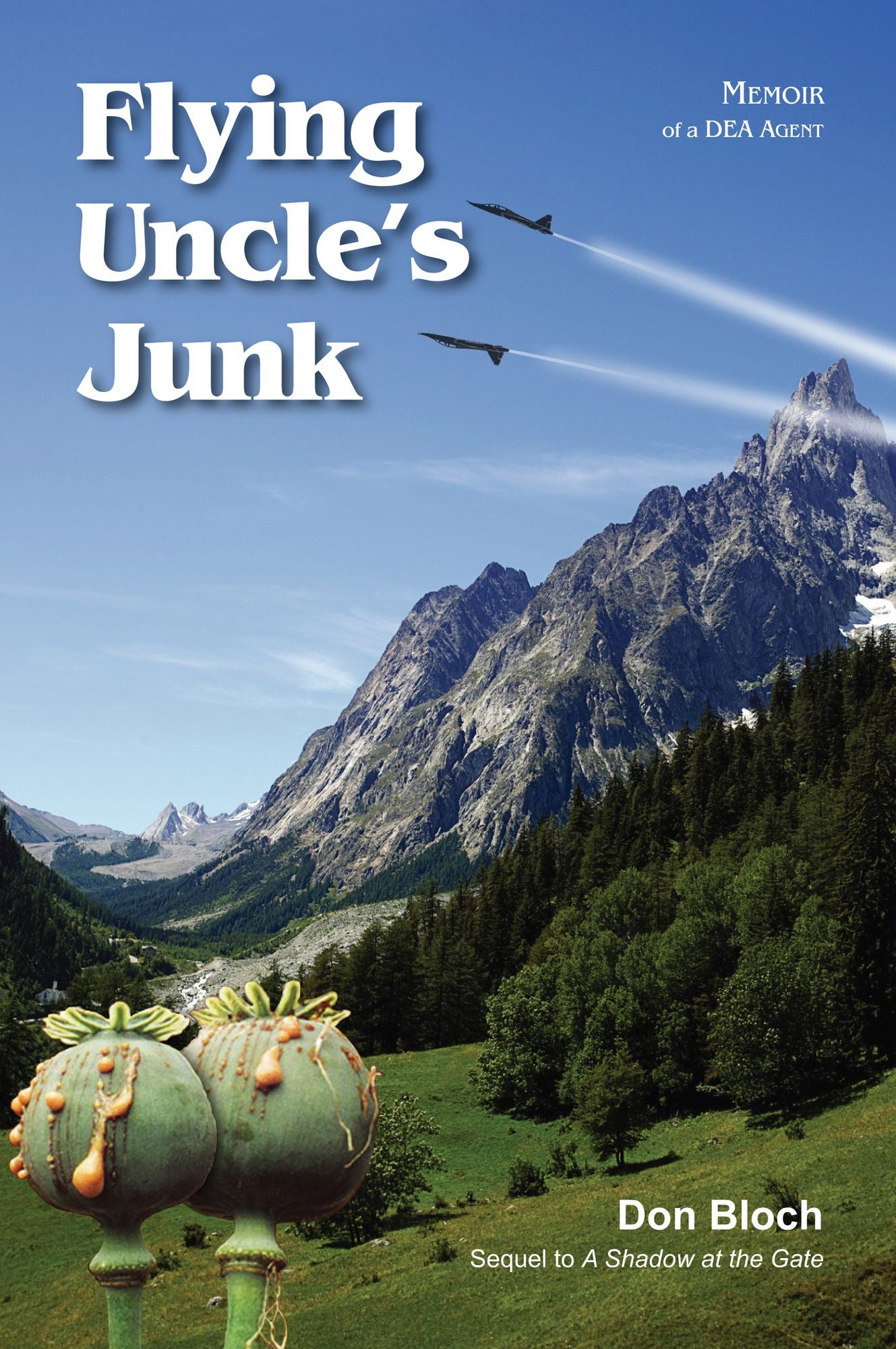 Flying Uncle's Junk: Memoir of a DEA Agent