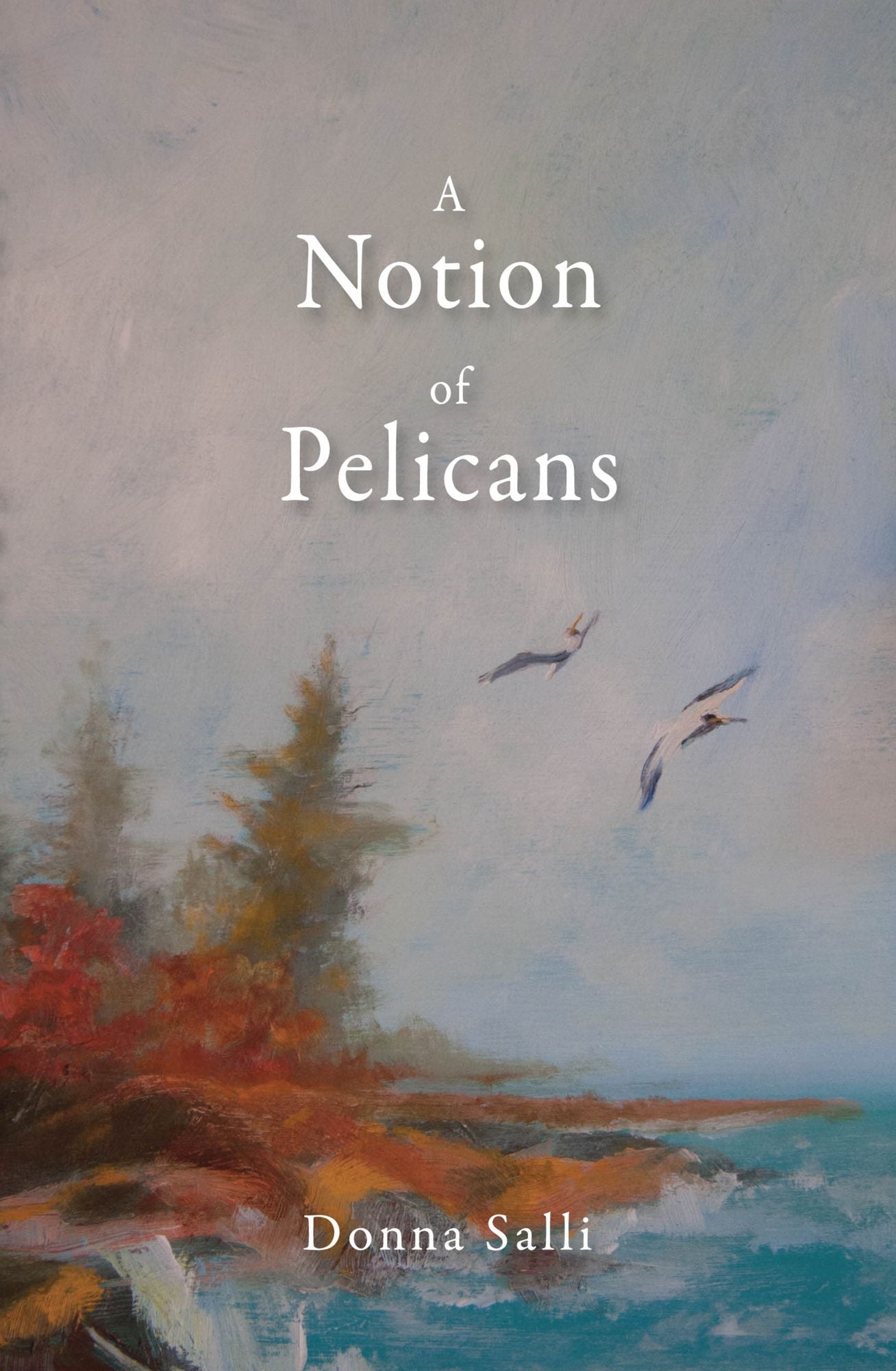 A Notion of Pelicans