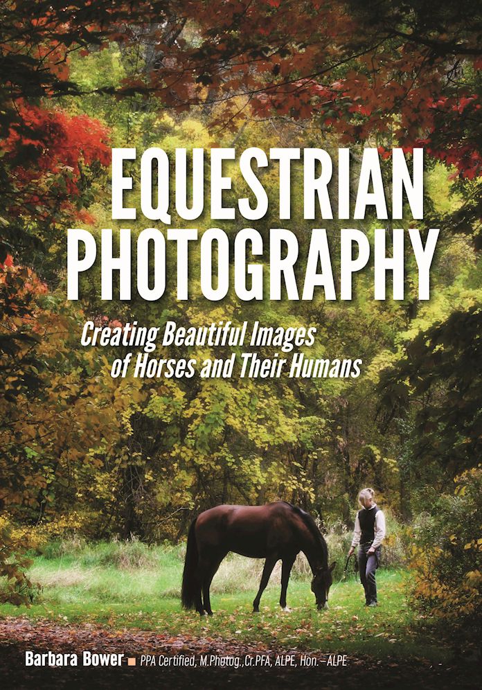 Equestrian Photography: Creating Beautiful Images of Horses and Their Humans