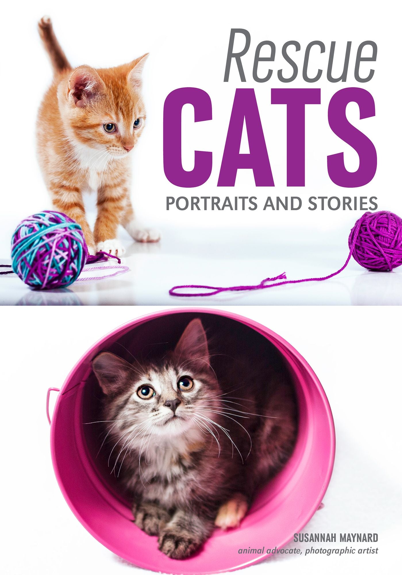 Rescue Cats: Portraits #x00026; Stories