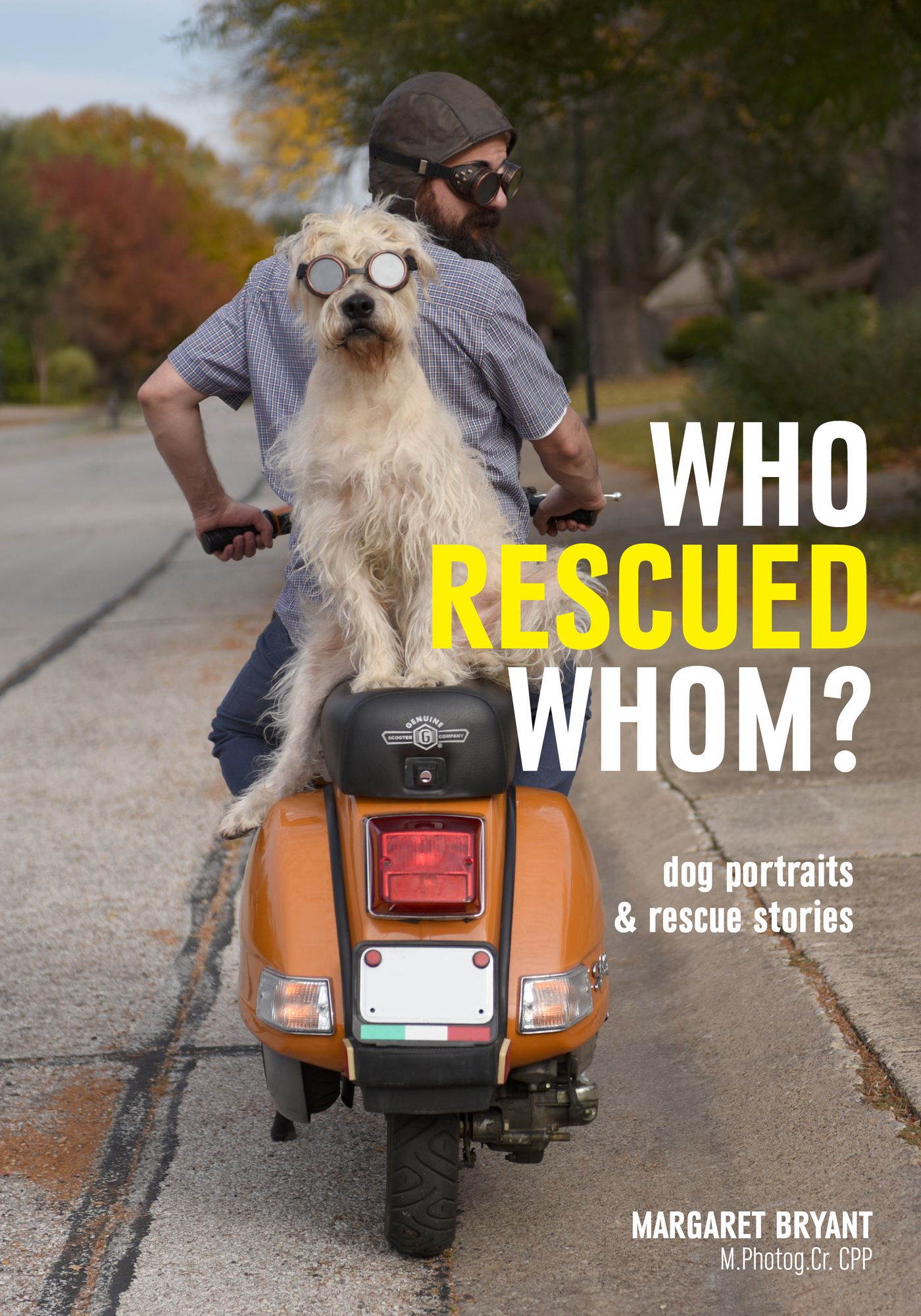 Who Rescued Whom: Dogs & People Who Found Each Other