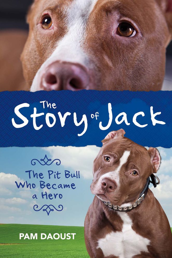 The Story of Jack: The Pit Bull Who Became a Hero