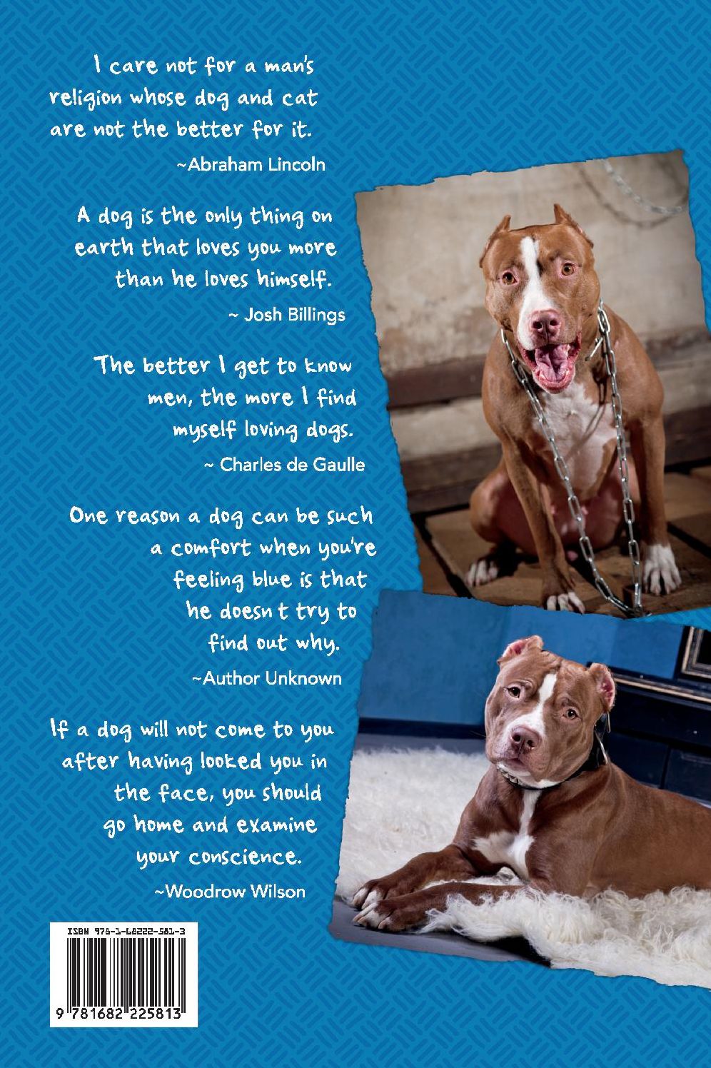 The Story of Jack: The Pit Bull Who Became a Hero