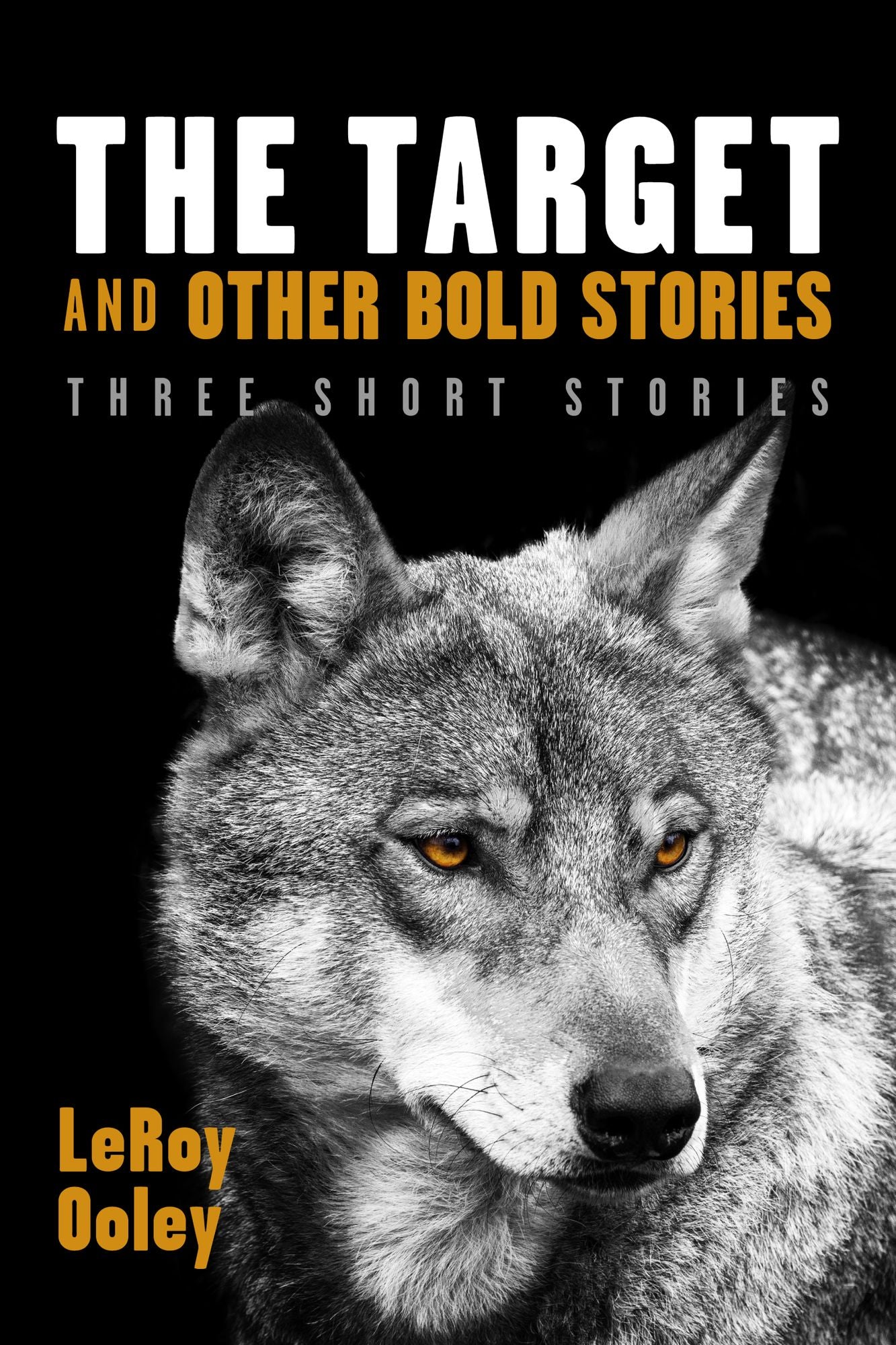 The Target and Other Bold Stories: Three Short Stories