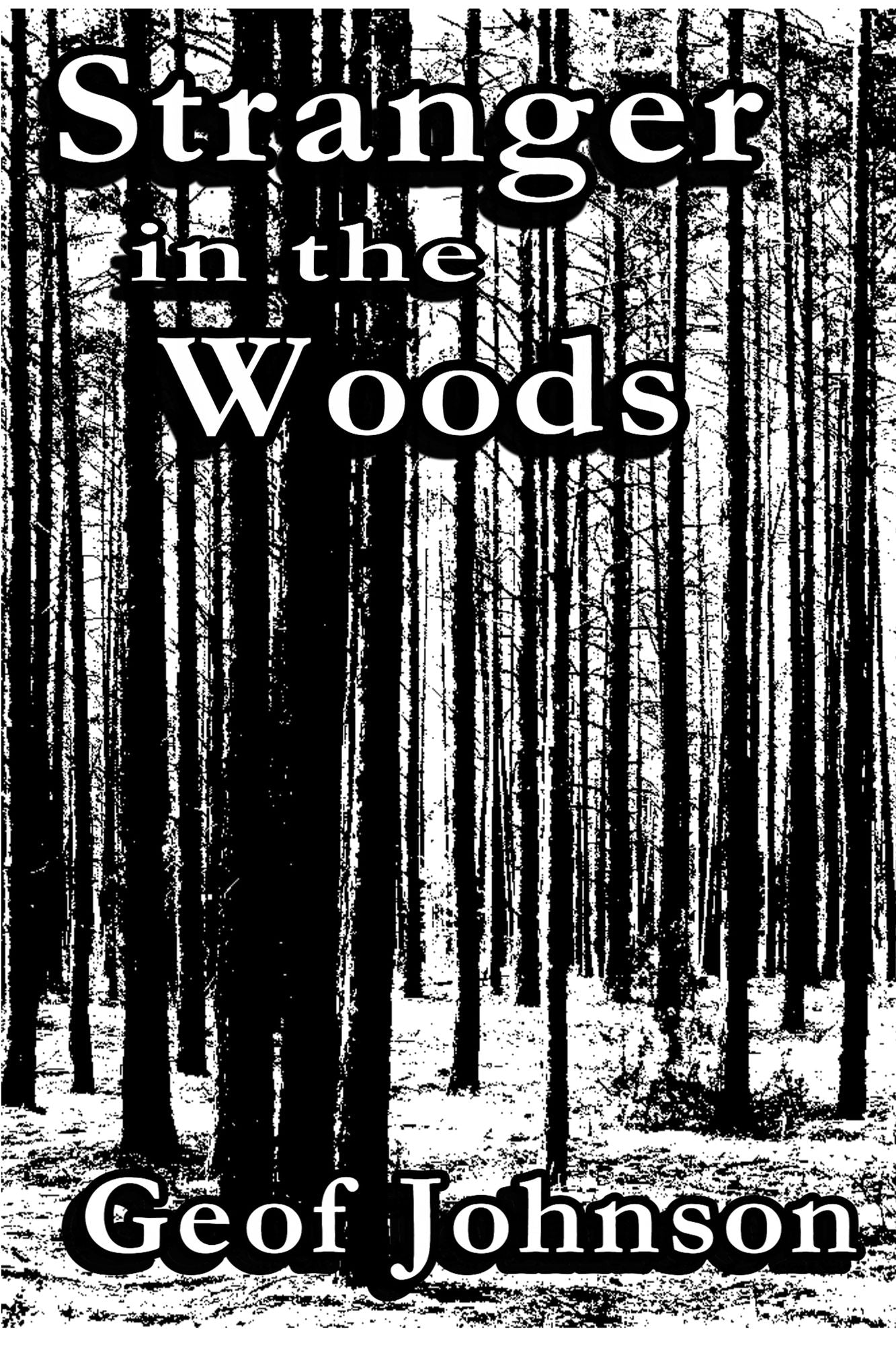 Stranger in the Woods
