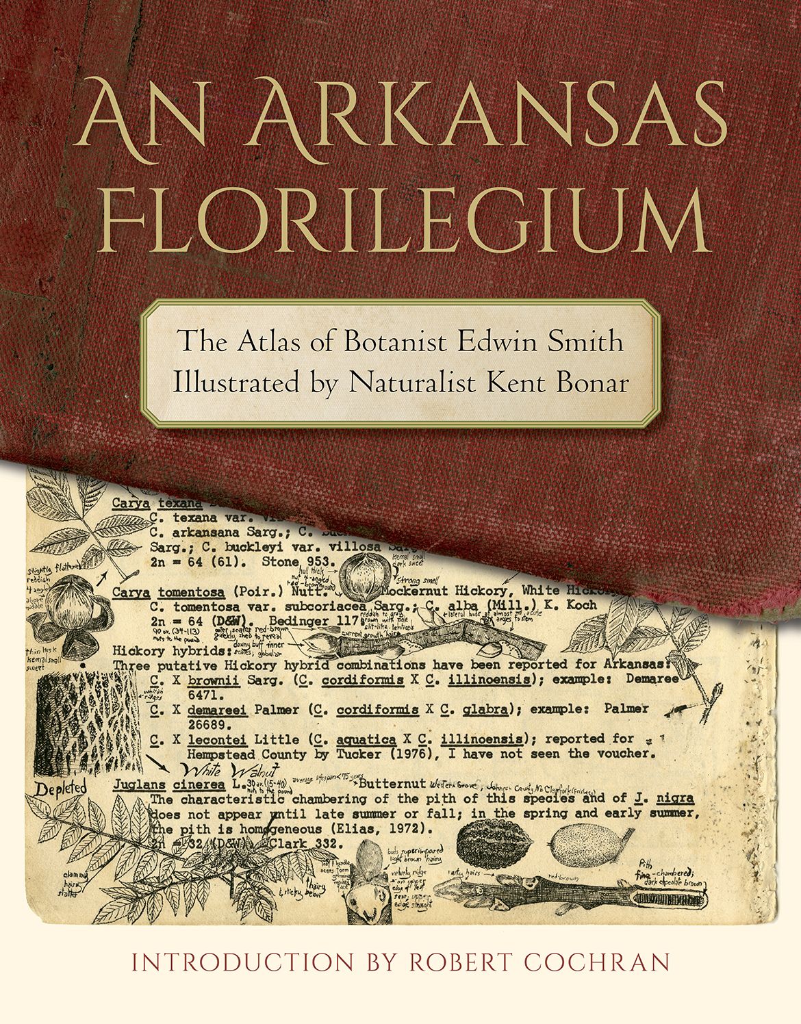 An Arkansas Florilegium: The Atlas of Botanist Edwin Smith Illustrated by Naturalist Kent Bonar