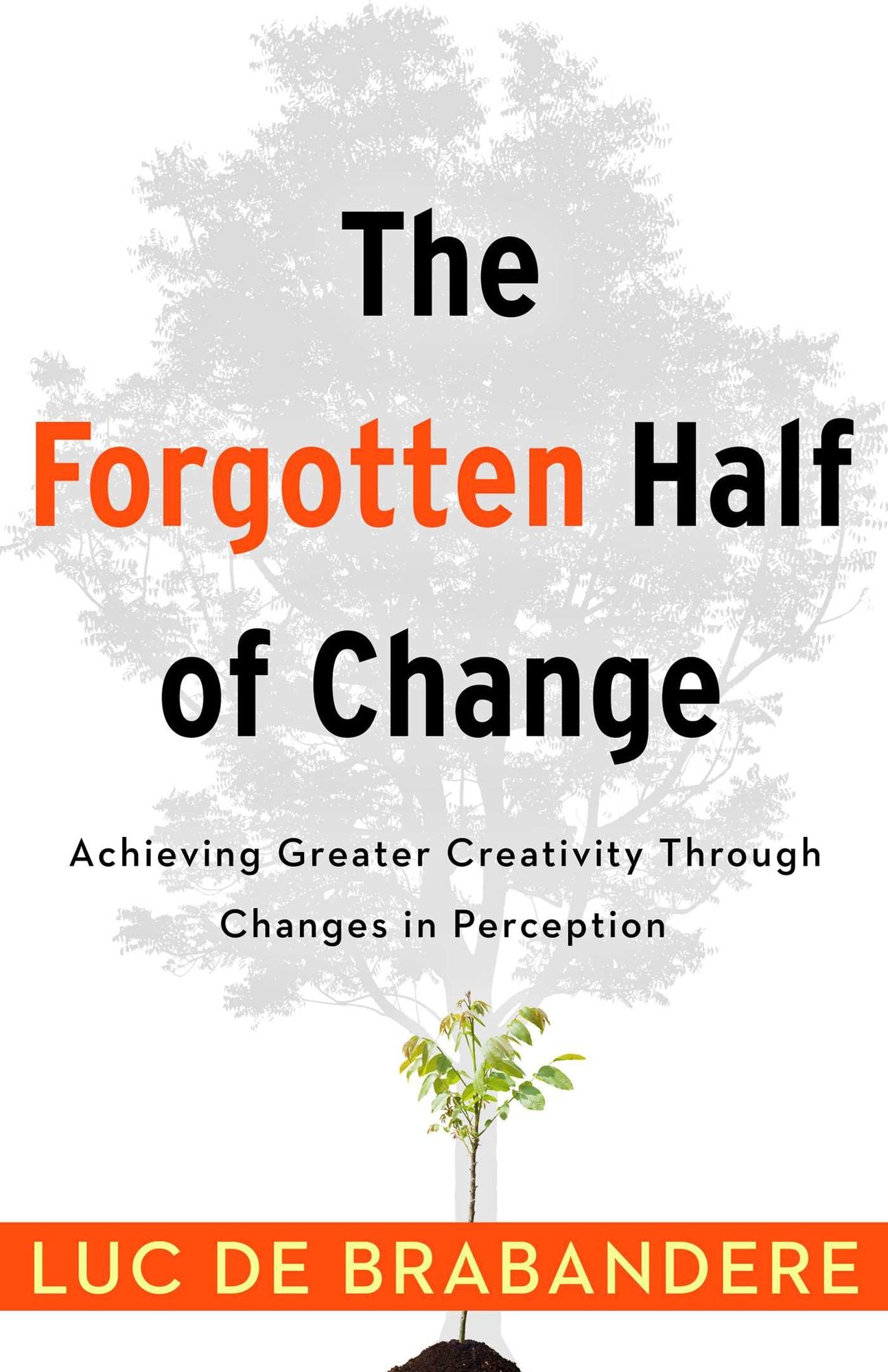 The Forgotten Half of Change: Achieving Greater Creativity Through Changes in Perceptions